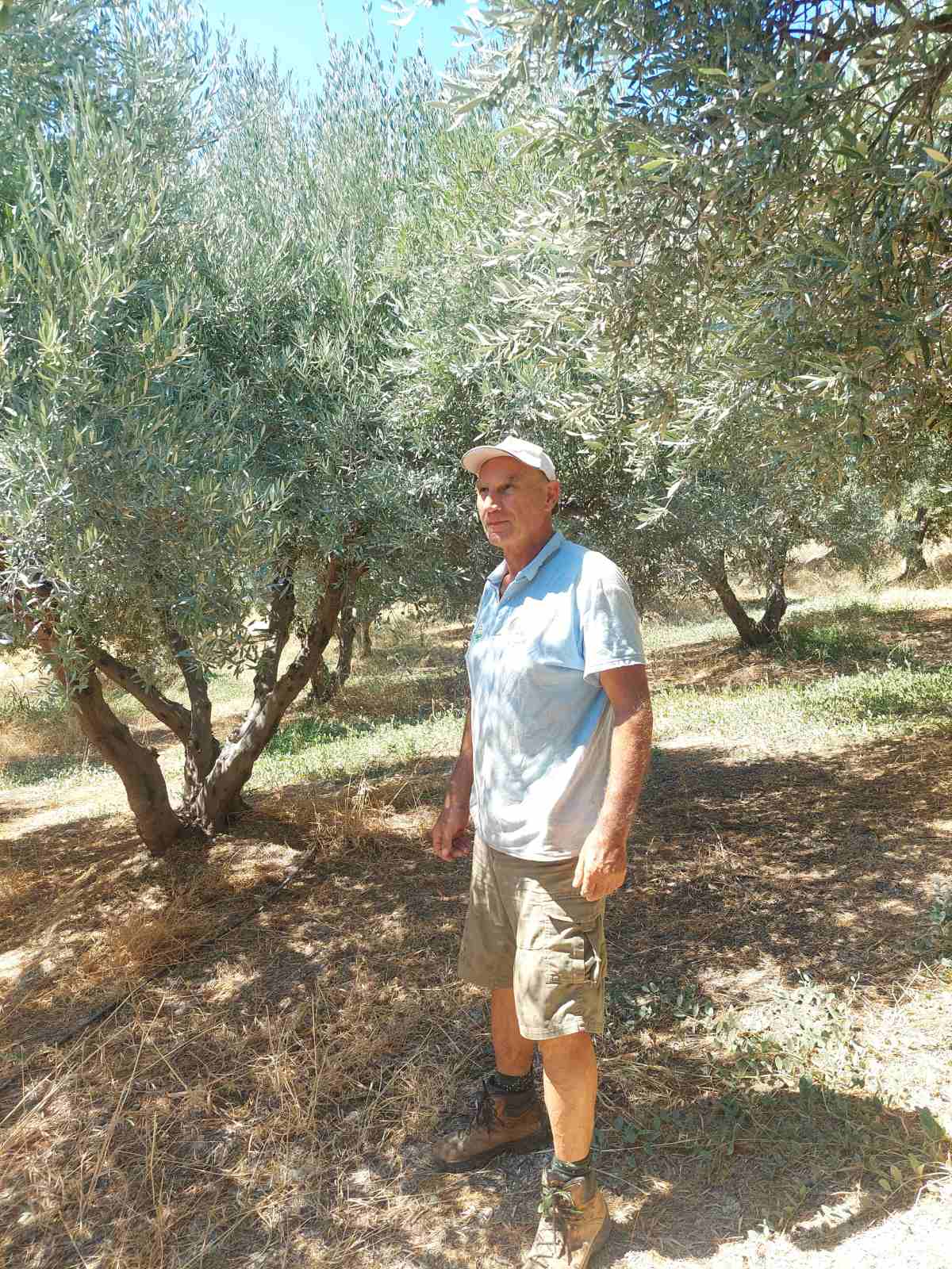 Giorgos P.