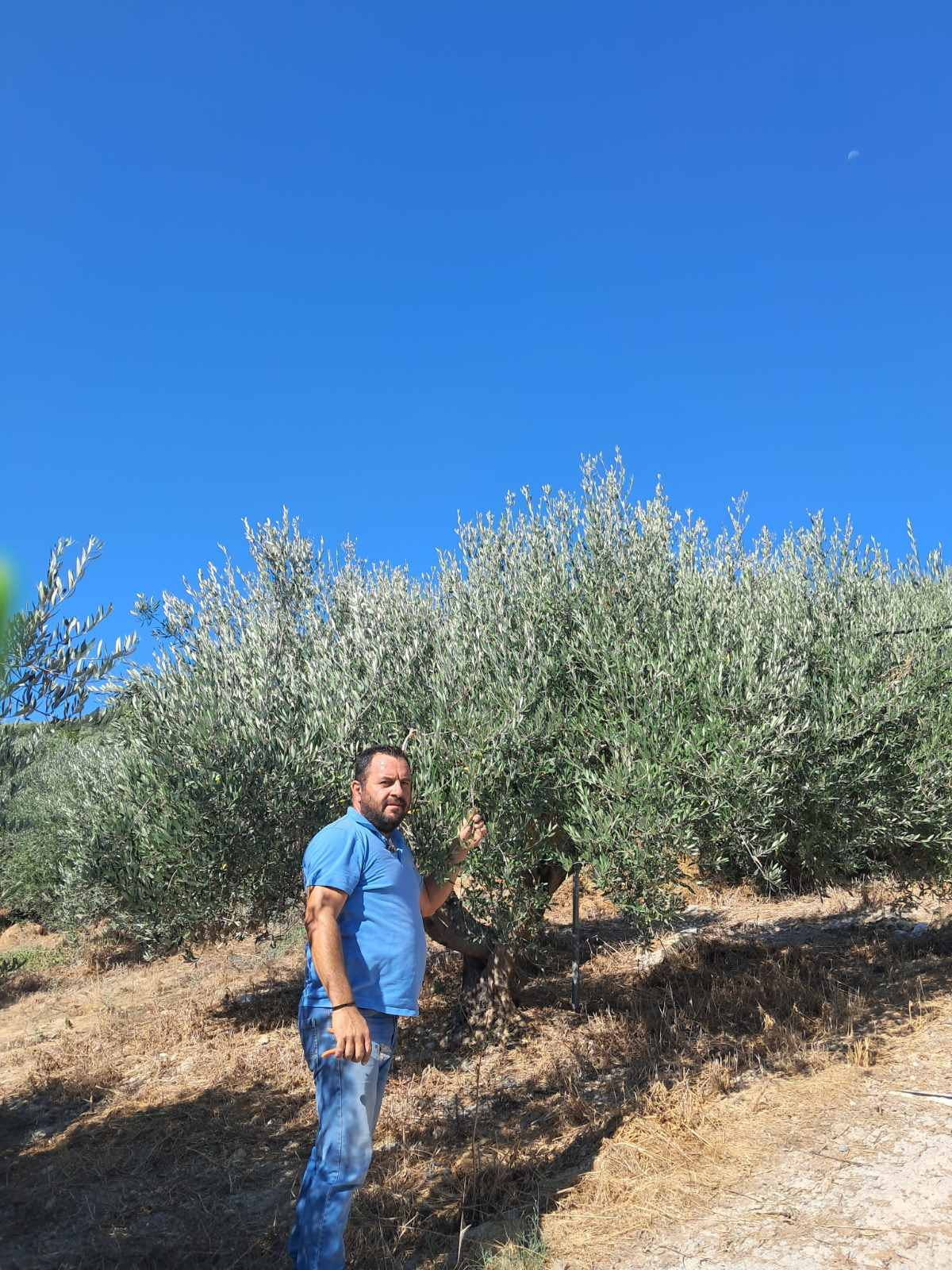 Kostas D.
