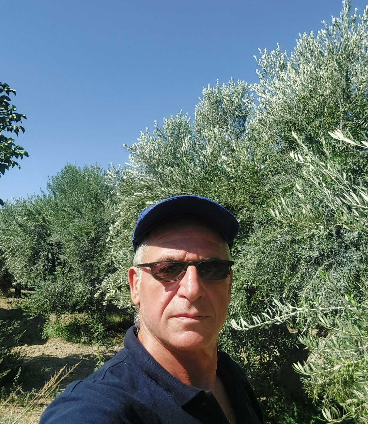 Nikos M.