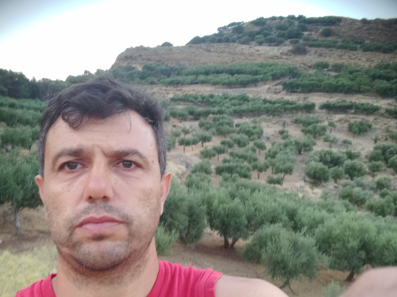 Pantelis F.